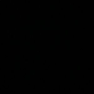 Meet your Posher, Mahi